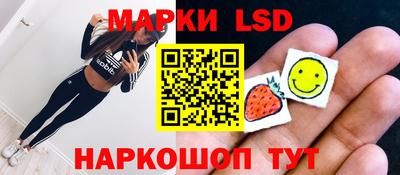 гидропоника Краснознаменск