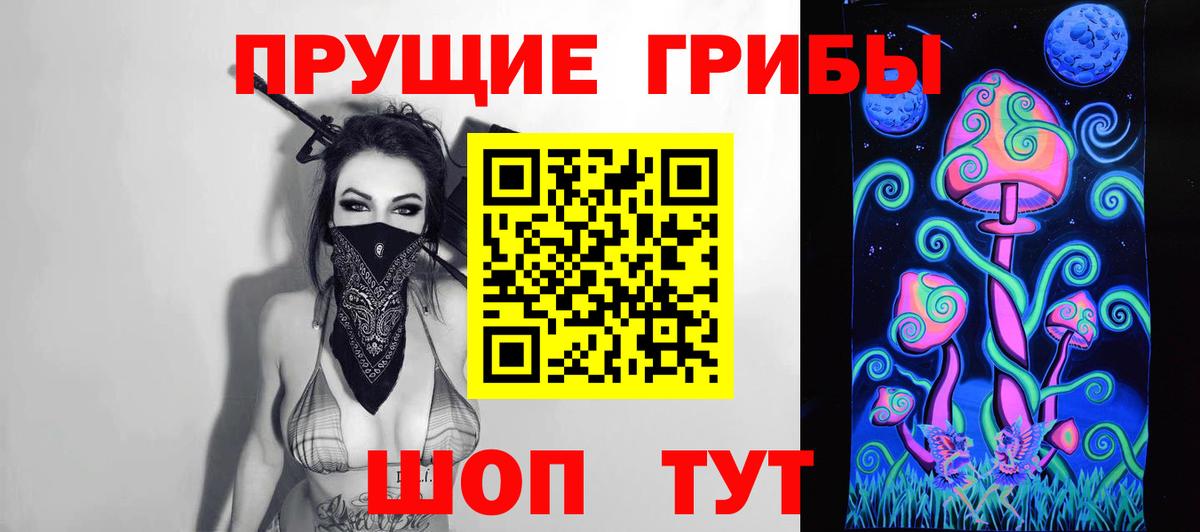 Бузулук  Псилоцибиновые грибы Psilocybine cubensis  Вход с VPN 