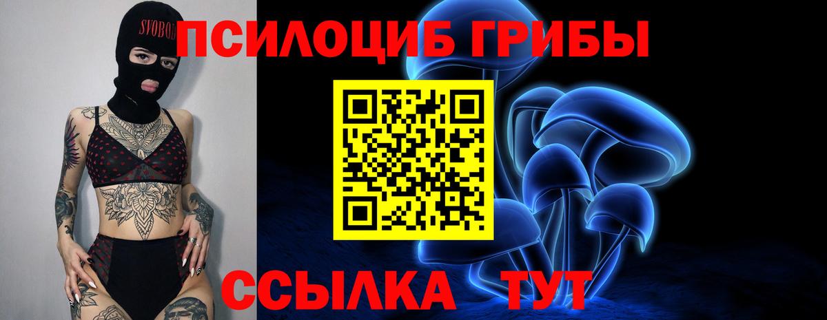 Галлюциногенные грибы Psilocybine cubensis Бузулук